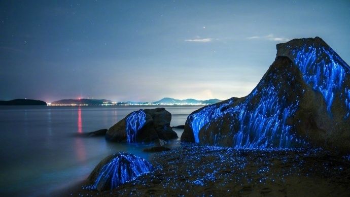 日本最美的海灣 這里的石頭會“哭”